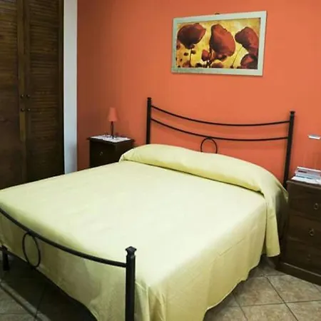 Orange Garden
